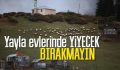 Valilikten Yayla Evlerine Uyarı Yiyecek İçecek Bırakmayın